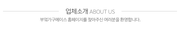부엌가구에이스_메인문구_내용